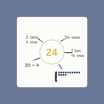 The number 24 is in the middle of a circle. There are lines drawn to varying forms of the number that show more sophisticated place value understanding: 2 tens, 4 ones; 24 ones; 1 ten, 14 ones; 20 + 4; 1 tens stick and 14 ones dots