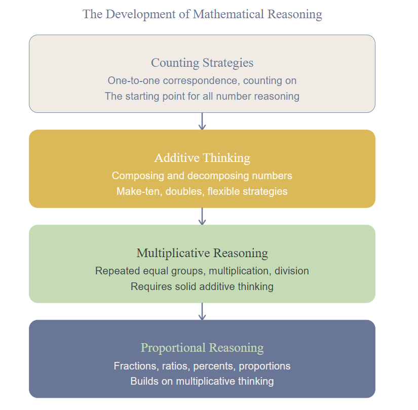 A visual showing the progression from counting strategies to additive thinking to multiplicative reasoning to proportional reasoning, illustrating the developmental hierarchy of mathematical reasoning.